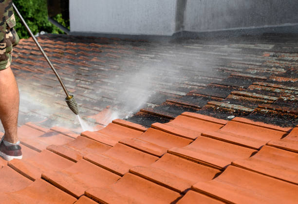 Best House Pressure Washing  in Diaz, AR