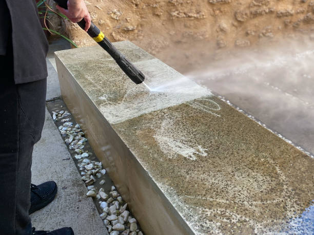 Best Roof Power Washing Services  in Diaz, AR