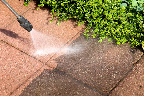 Best Residential Pressure Washing Services  in Diaz, AR